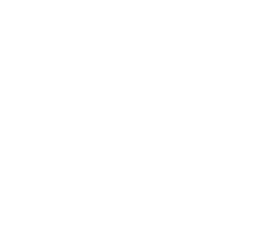 EMES Consulting